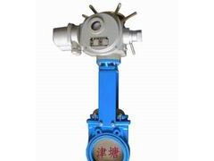 天津市津塘閥門制造供應(yīng)電動(dòng)刀閘閥